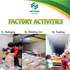 Factory Activities